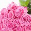 Image result for 5S/iPhone Rose