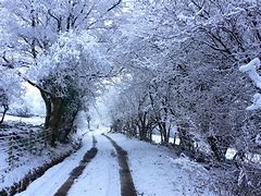 Image result for Brecon Beacons Winter