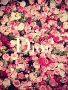 Image result for Dior Logo White