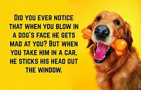 Image result for Hilarious Text Jokes