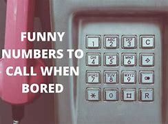 Image result for Numbers to Call When Bored