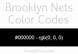 Image result for Brooklyn Nets Colors