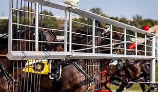 Image result for Standard Bred Starting Gate Arms