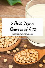 Image result for Vegan B12 Foods