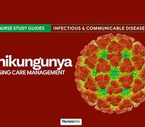 Image result for Chikungunya Virus Infection