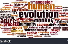 Image result for Evolution Word Design