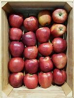 Image result for Photography Apple Boxes