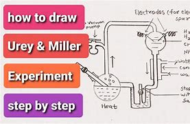 Image result for Miller and Urey Experiment