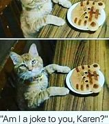 Image result for AM I a Joke to You Cat Meme