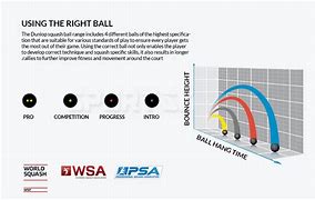 Image result for Squash Ball Size
