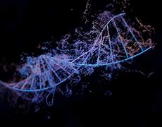 Image result for DNA Live Wallpaper