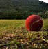 Image result for Cricket Ball 3