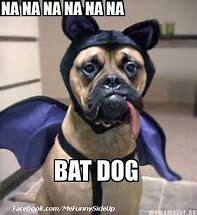 Image result for Dog Using a Bat Meme