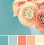 Image result for Teal Peach