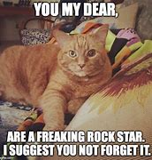 Image result for You Are a Rock Meme