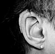 Image result for Hidden Hearing Aids