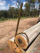 Image result for Log Lifting Hook