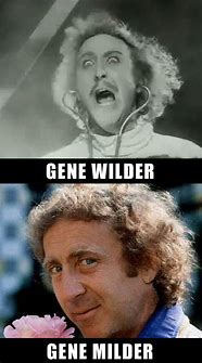 Image result for Gene Wilder Meme Face