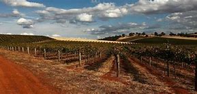 Image result for Hentley Farm Rose Barossa Valley
