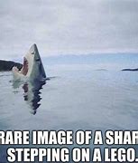 Image result for beach memes sharks
