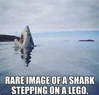 Image result for Fancy Shark Meme