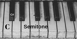 Image result for Semitone