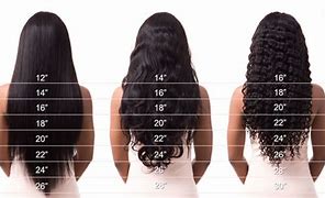Image result for How Much Is 6 Inches of Hair