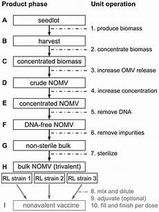Flow Chart For Improved Nomv Production Process