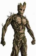 Image result for Groot Reach