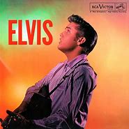 Image result for Elvis History Album