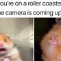 Image result for Hamster Face Meme