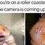Image result for Lil Hamster Meme