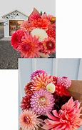 Image result for Flower Stand Phone Case