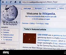 Image result for Image of a Website Homepage Wikipedia