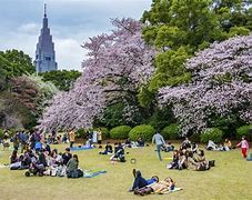 Image result for Japanese City Park