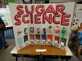 Image result for Science Fair Project Ideas 7th