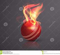 Image result for Red Cricket Ball