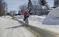 Image result for Road Cycling