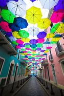 Image result for Rainy Night City Street Umbrellas