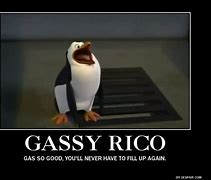 Image result for Rico Assasin Meme Penguin