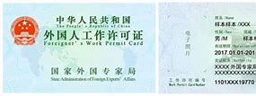 Image result for Chinese Work Permit Card