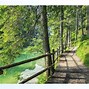 Image result for Nature Poster Background