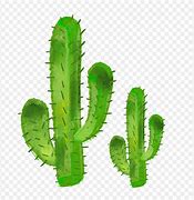 Image result for Cactus Cartoon No Background