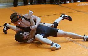 Image result for Wrestling Pins