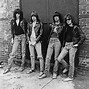 Image result for The Ramones Punk Magazine