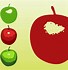 Image result for Apple Fruit Wallpaper Cartoon