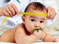 Image result for Girls Percentile Growth Chart Weight