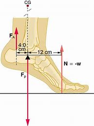 Image result for 186 Cm to Feet