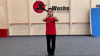 Image result for Li Jing Wushu