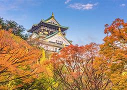 Image result for Osaka Castle